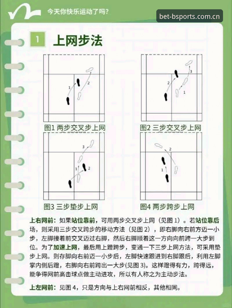 3个核心维度解析：BSports新手教程怎么样，从入门到精通的完整路径